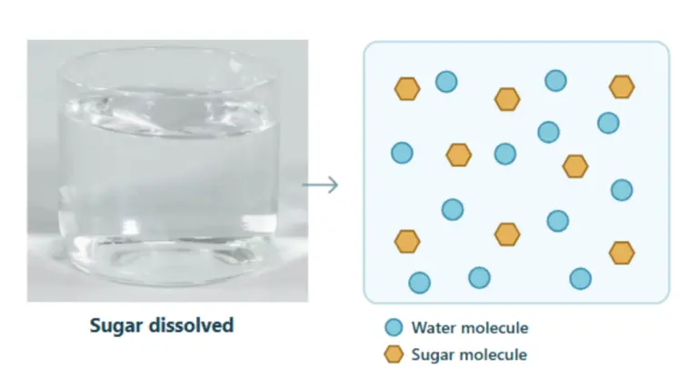 Water as a Solvent